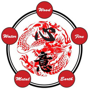 Seattle Xin Yi Dao - Kung Fu Marital Arts - Internal Style